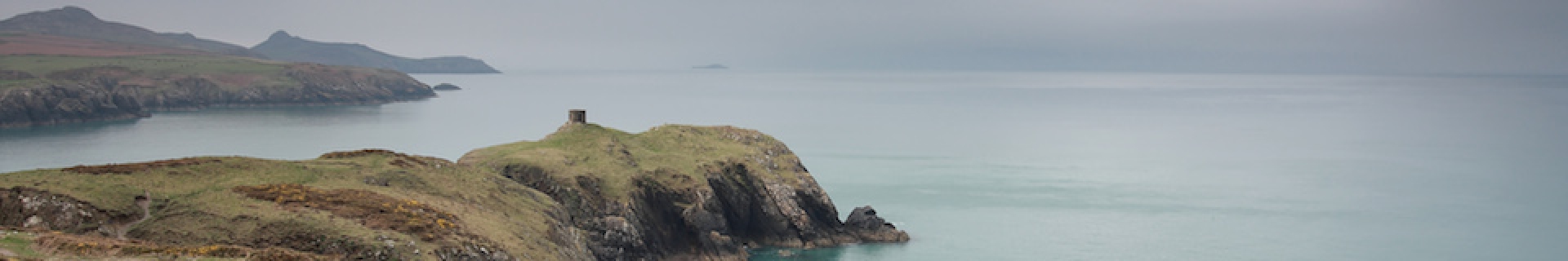 Banner image for Carmarthen West & South Pembrokeshire